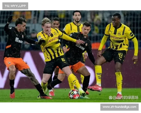 欧冠赛场德甲球队表现起伏不定 欧洲战绩影响联盟积分走势